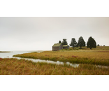 Wetland