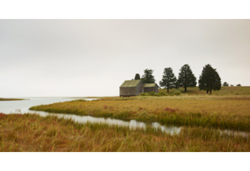 Wetland