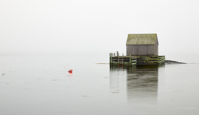 Most Popular/ stock items Tackle House