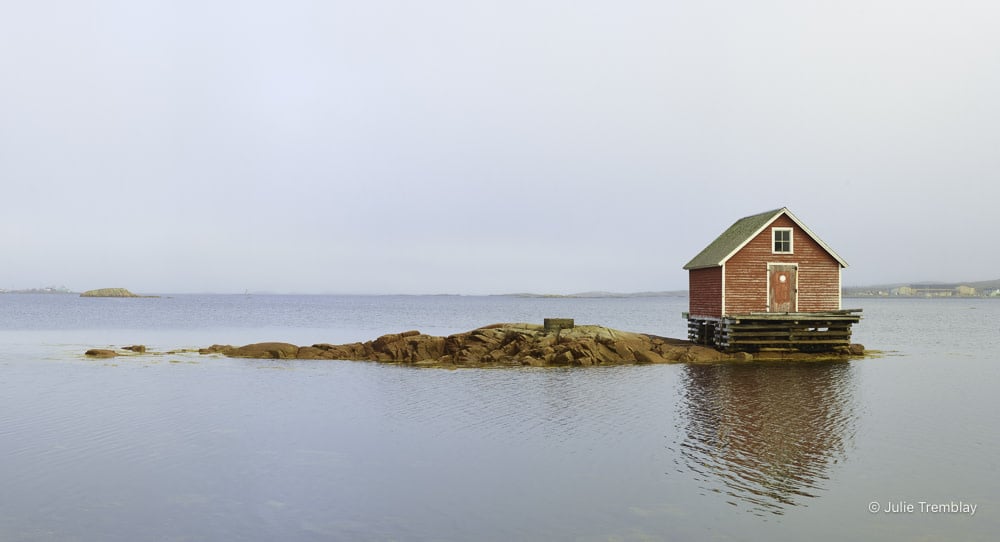 Most Popular/ stock items Joe Batt's Arm