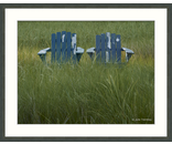 Blue Chairs