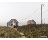 Cold Storage