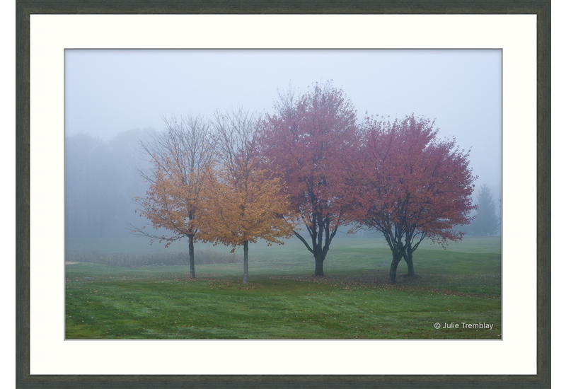 Fall Fog