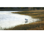 Heron Water