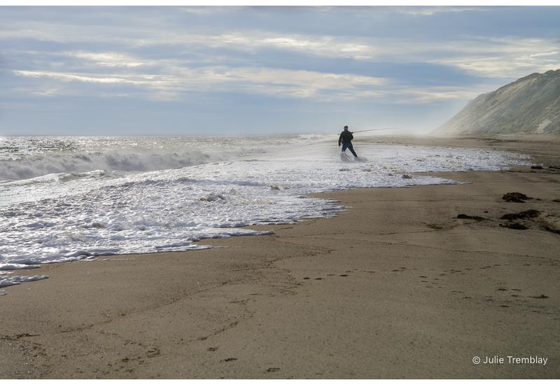 Surf Casting
