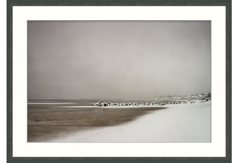 Winter Shoreline