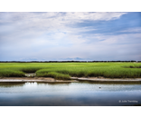 Green Marsh