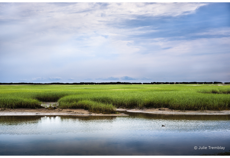 Green Marsh
