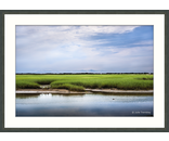 Green Marsh