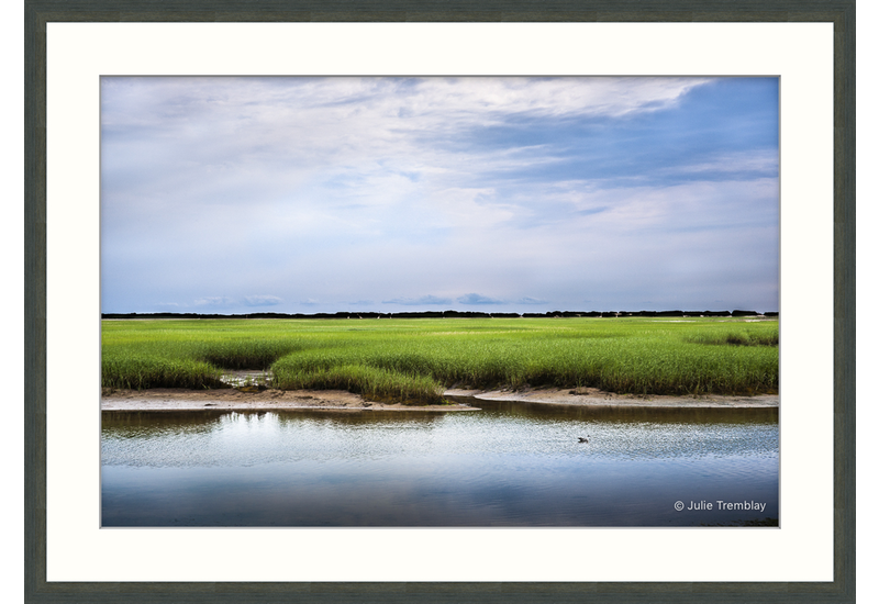 Green Marsh