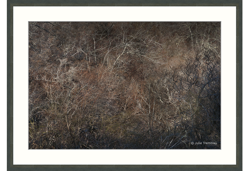 My Pollock