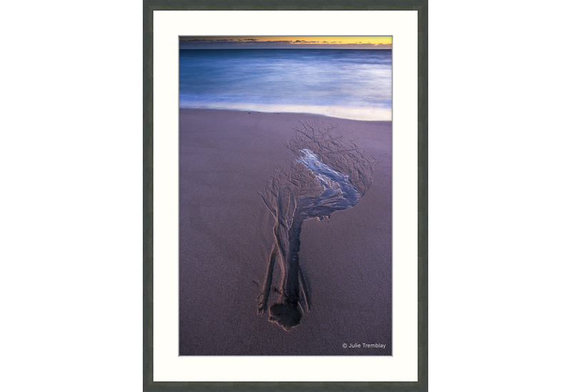 Sand Impression