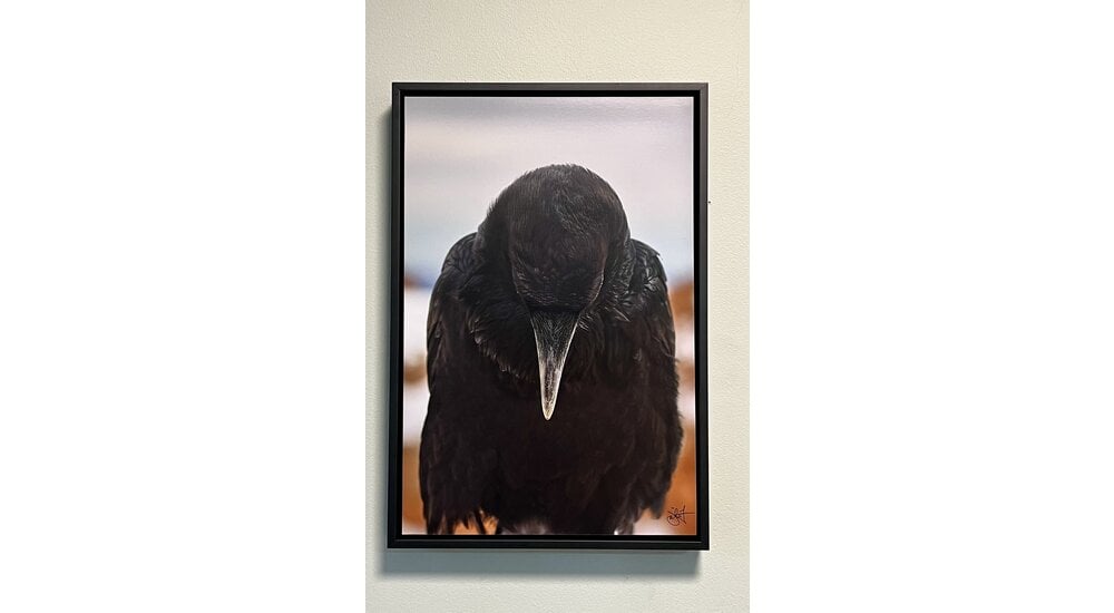 Most Popular/ stock items Raven