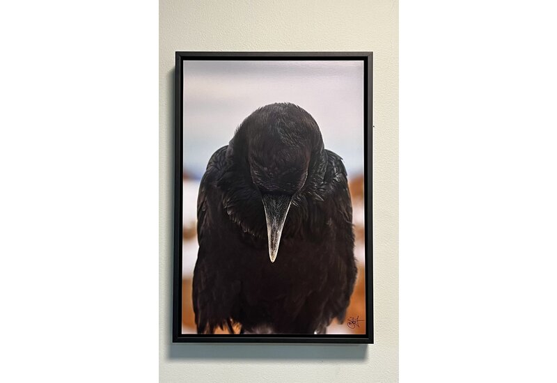 Most Popular/ stock items Raven