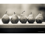 Most Popular/ stock items 5 Pears