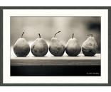 Most Popular/ stock items 5 Pears