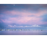 Cotton Candy Harbor