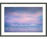 Cotton Candy Harbor