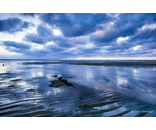 Most Popular/ stock items Buoy