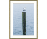 Most Popular/ stock items Gull Post