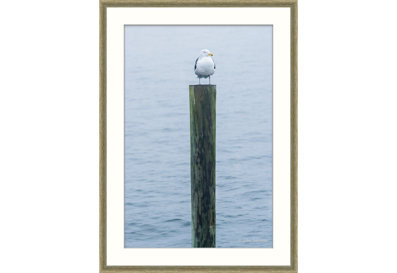 Most Popular/ stock items Gull Post