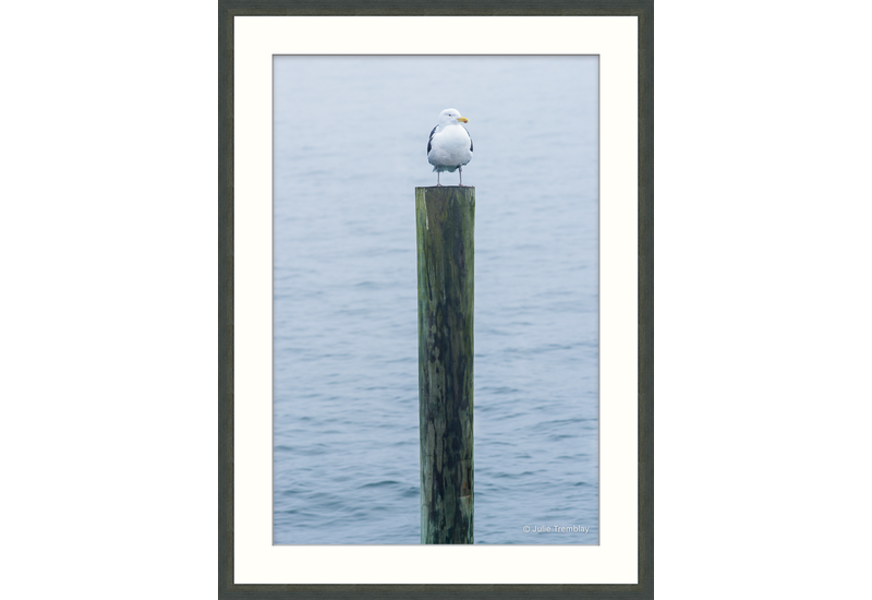 Most Popular/ stock items Gull Post