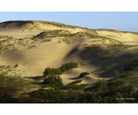 Most Popular/ stock items Morning Dunes