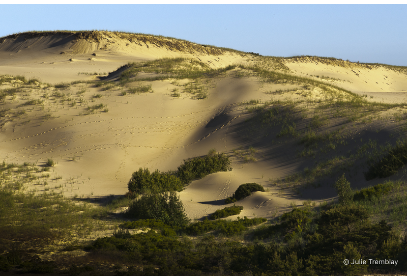 Most Popular/ stock items Morning Dunes
