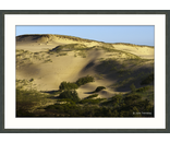Most Popular/ stock items Morning Dunes