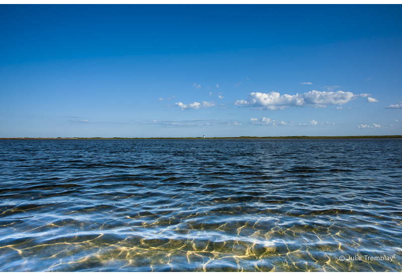 Most Popular/ stock items Water Patterns
