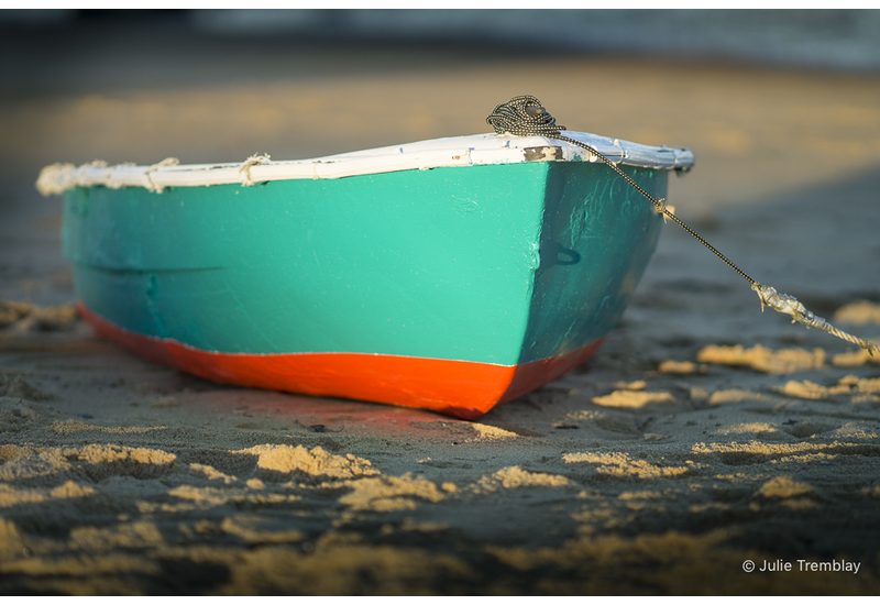 Most Popular/ stock items Teeny Tiny Boat