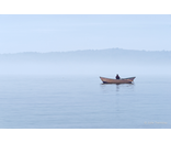 Wood Dory