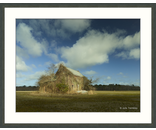Old Farmhouse