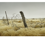 Fence Post