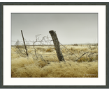 Fence Post
