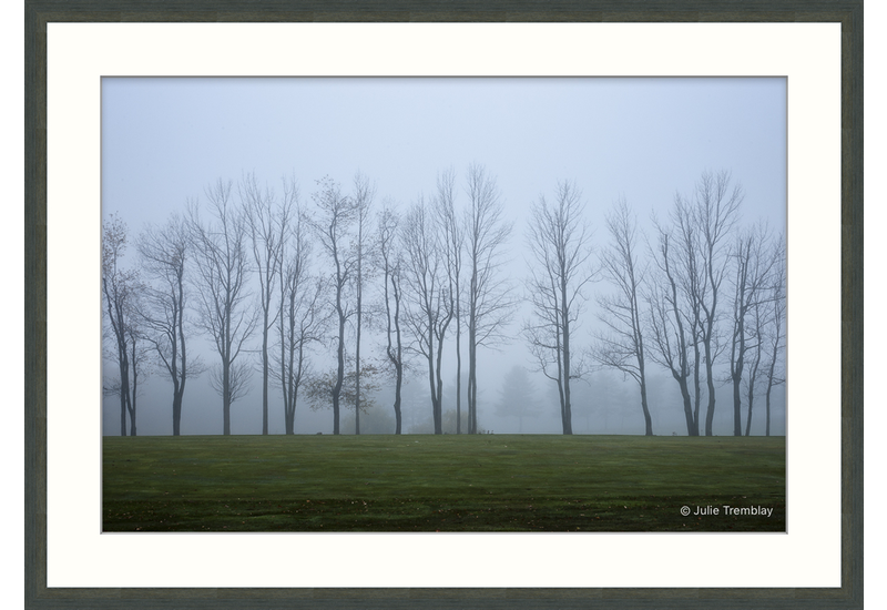 Tree Line