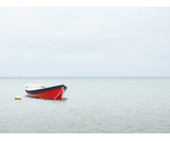 Most Popular/ stock items Dharma