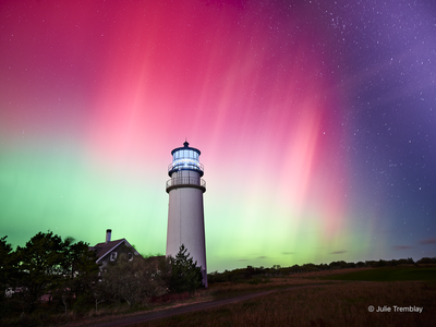Northern Lights