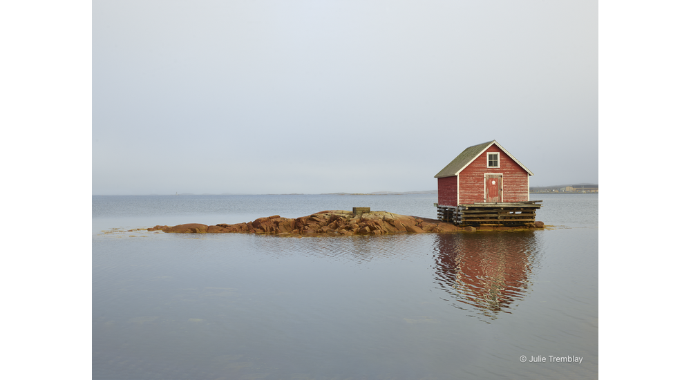 Most Popular/ stock items Joe Batt's Arm