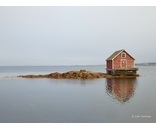 Most Popular/ stock items Joe Batt's Arm