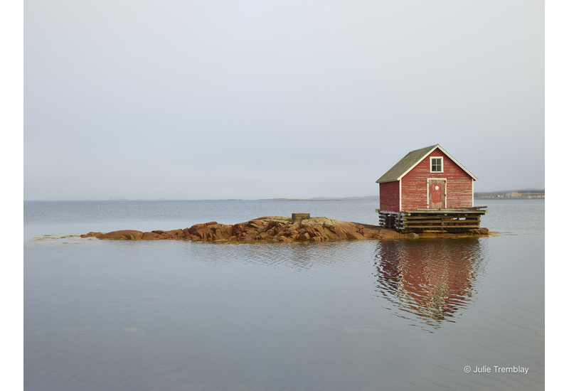Most Popular/ stock items Joe Batt's Arm
