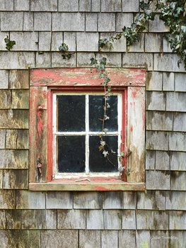 Higgins Window