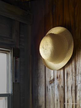 Hat