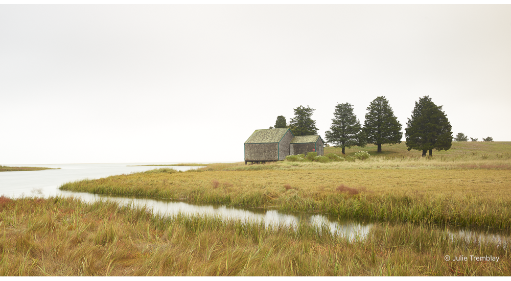 Wetland