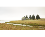 Wetland