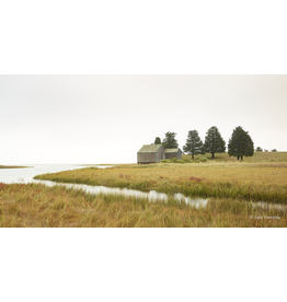 Wetland