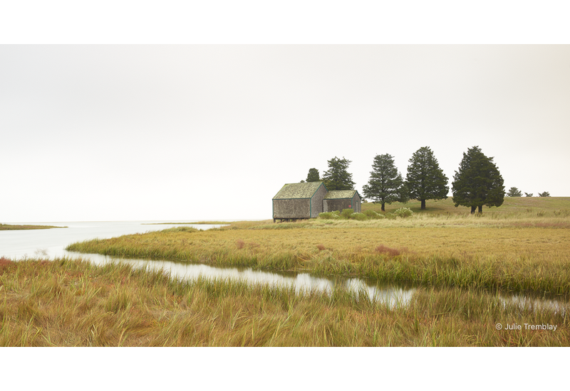 Wetland
