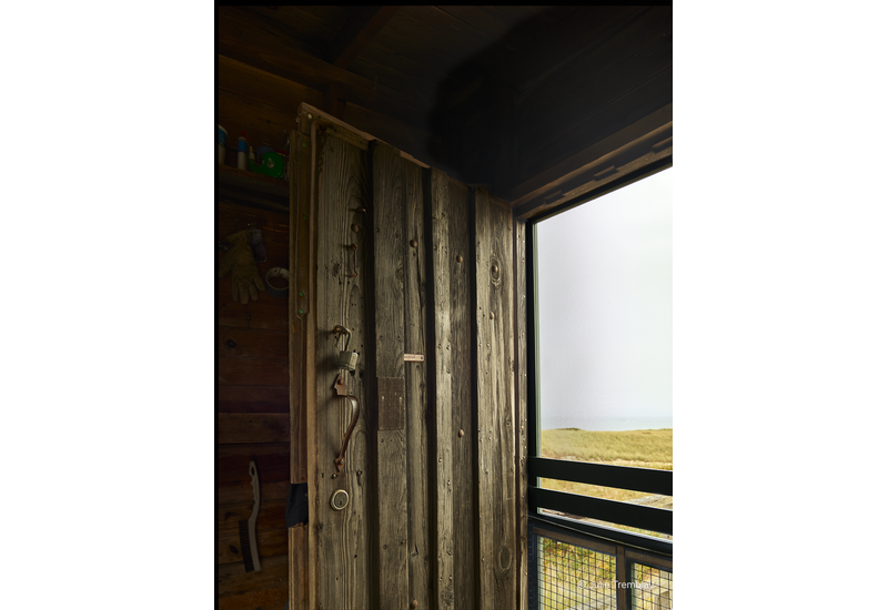 Door /Limited Edition/50