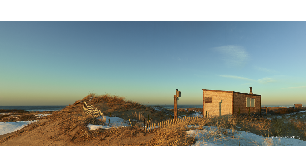 Most Popular/ stock items Euphoria