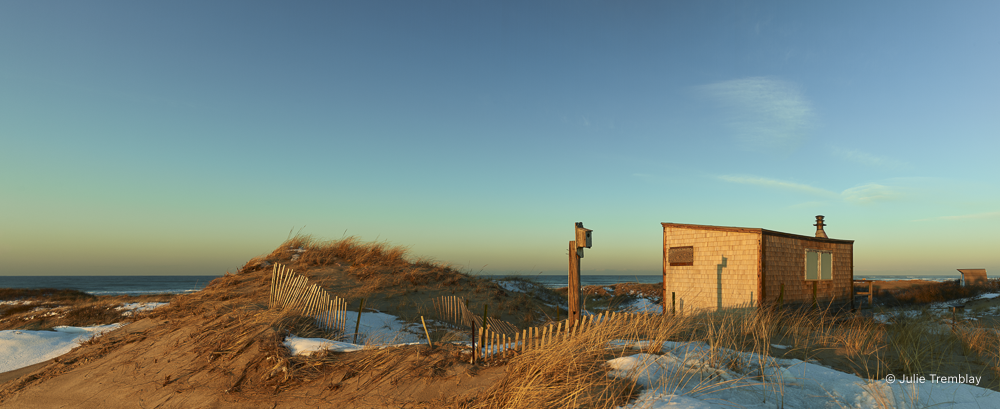 Most Popular/ stock items Euphoria